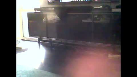 Snapshot of mrhandsomelovee chatting on January 10, 12:15 pm Nikola online show from January 10, 12:15 pm