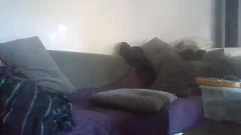 Snapshot of mrhandsomelovee chatting on September 22, 7:01 am Nikola online show from September 22, 7:01 am