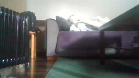 Snapshot of mrhandsomelovee chatting on October 16, 9:09 am Nikola online show from October 16, 9:09 am