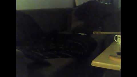 Snapshot of mrhandsomelovee chatting on January 12, 12:01 pm Nikola online show from January 12, 12:01 pm