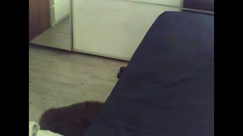 Snapshot of mrhandsomelovee chatting on March 10, 10:50 am Nikola online show from March 10, 10:50 am