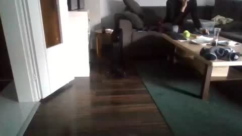 Snapshot of mrhandsomelovee chatting on February 17, 11:02 am Nikola online show from February 17, 11:02 am