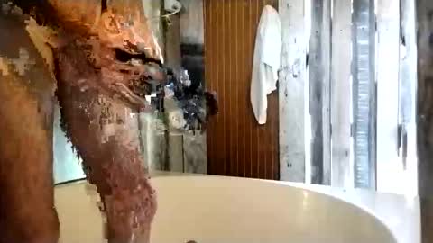 mrhotcock7inch online show from January 13, 5:37 am