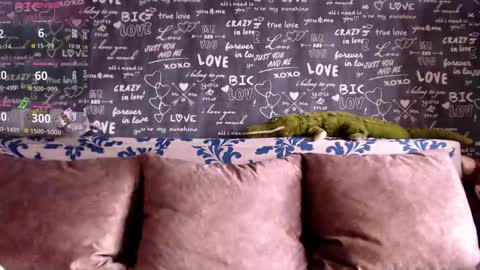 Lara online show from November 22, 10:13 am