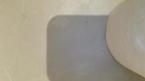 mrsexalot69 online show from April 11, 3:55 am