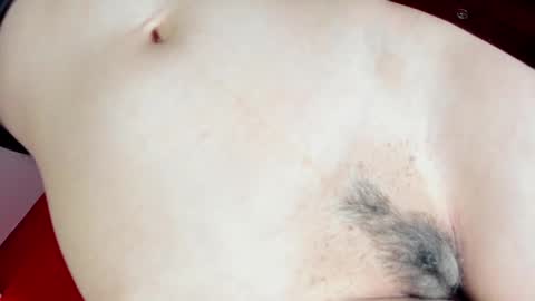 Annabelle  online show from February 25, 12:16 pm