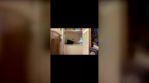 msuebxapqkjy online show from December 21, 1:39 pm