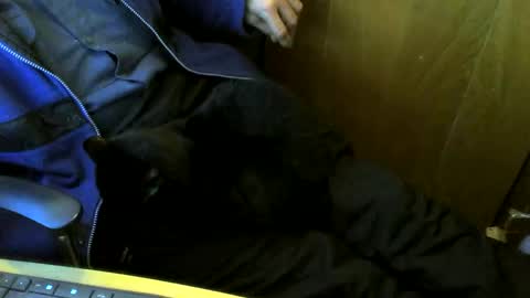 muller520 online show from March 1, 2:54 pm