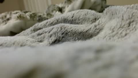 murse52967 online show from December 22, 1:51 pm