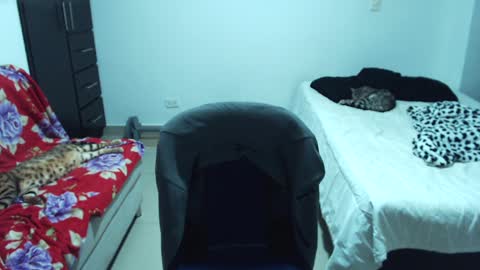 Mike online show from December 7, 12:57 am