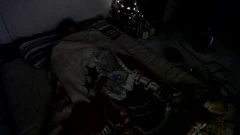 Snapshot of muse_online chatting on December 23, 8:00 am Muse Ali online show from December 23, 8:00 am