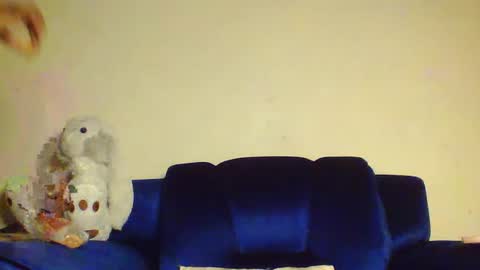 Snapshot of mwekas568403 chatting on March 4, 7:01 pm mwekas568403 online show from March 4, 7:01 pm