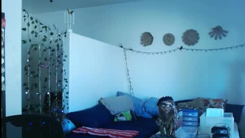 Snapshot of mycock4u247 chatting on March 3, 10:42 pm LA MARIPOSA DE MARICOPA online show from March 3, 10:42 pm