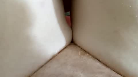 Kitty online show from January 17, 11:52 am