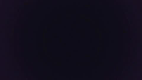 MysteryMonkey online show from January 11, 2:09 am