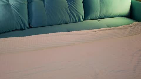 Maeve online show from September 14, 8:38 am