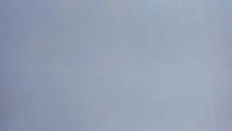 naomis_35 online show from September 19, 8:34 pm