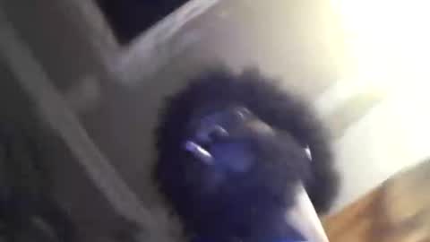 nate791758 online show from November 16, 9:44 am