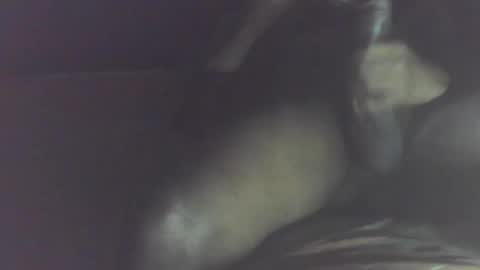 nbcouples online show from February 28, 9:19 pm