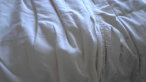 neckk online show from November 1, 12:26 pm