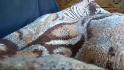 Matt online show from December 1, 7:38 pm