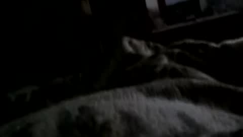 Matt online show from December 11, 7:42 am