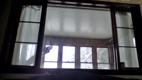 Snapshot of newguy81240 chatting on January 23, 3:54 pm Newguy81240 online show from January 23, 3:54 pm