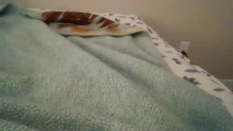 Nicole online show from March 5, 2:01 pm