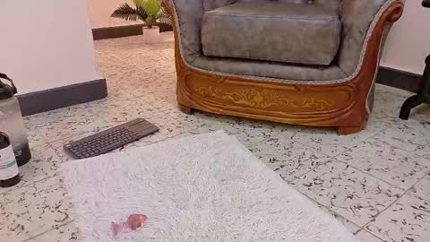 Snapshot of niky_smit chatting on February 16, 2:43 pm NIKY SMIT online show from February 16, 2:43 pm