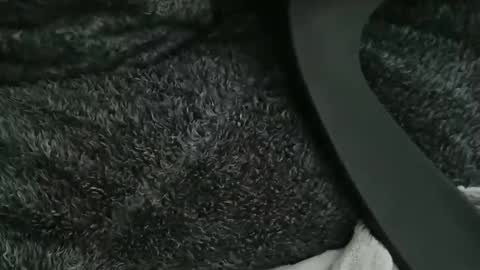 nineinchhard online show from October 21, 10:31 am