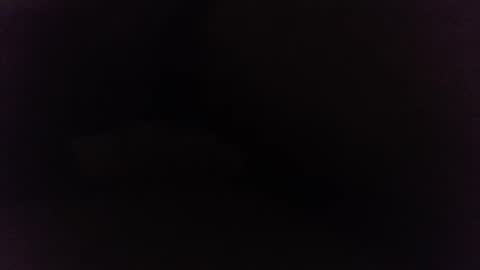 Ninjadance online show from December 27, 10:23 am