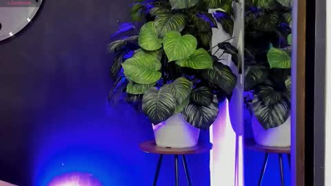 Noah  online show from March 22, 3:21 am