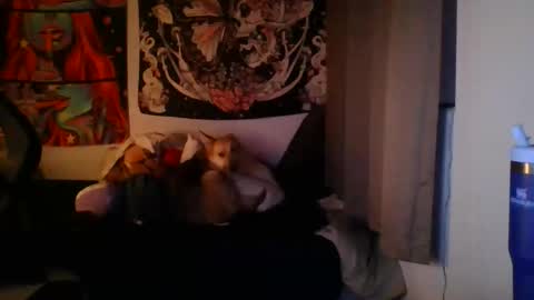 Cam0819 online show from March 29, 4:36 am