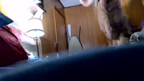 okthen135 online show from December 23, 10:42 am