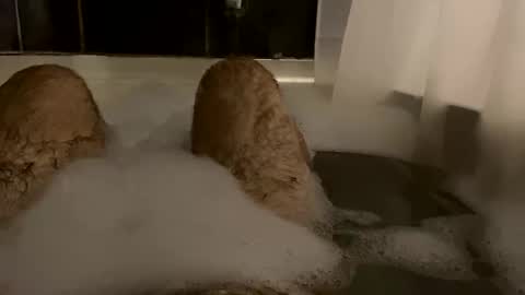 oldbones2 online show from February 24, 2:51 am