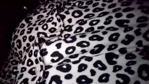 Olivia online show from January 17, 4:11 am