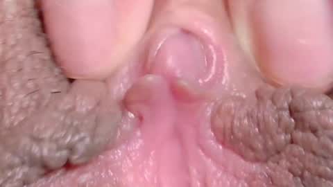 orchidekitty online show from April 10, 11:20 pm