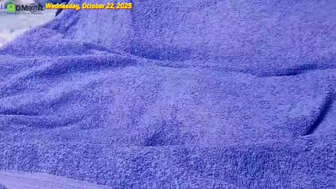 Owl online show from October 22, 4:52 pm