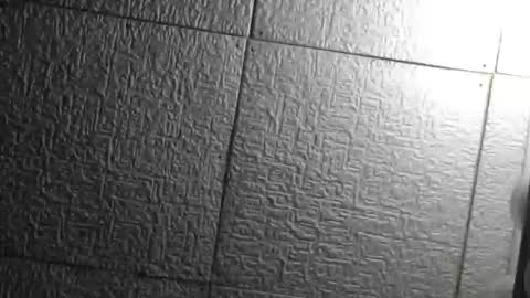 Superfeno online show from April 22, 5:14 am