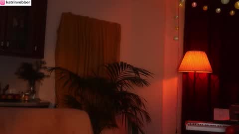 Katrin Vebber online show from November 27, 1:24 am