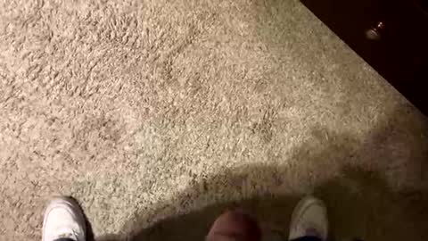 palote_69 online show from March 7, 4:01 am