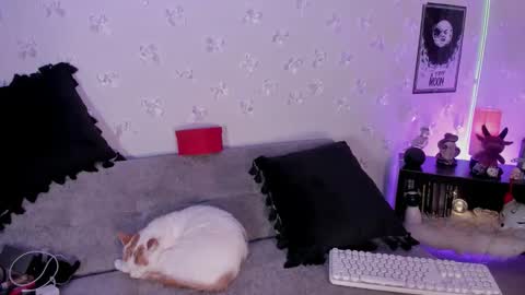 pamela online show from February 2, 3:59 am