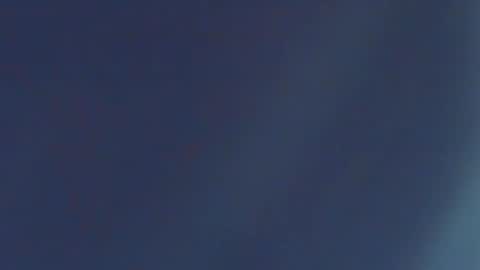 Paola Turner online show from February 6, 11:53 am