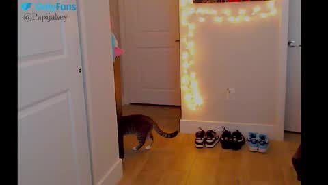  -- New Videos Down Below online show from December 23, 3:45 am