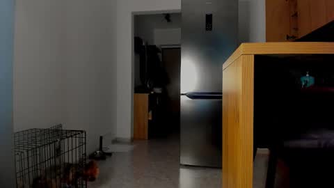 patricia_bloom online show from January 14, 12:46 pm