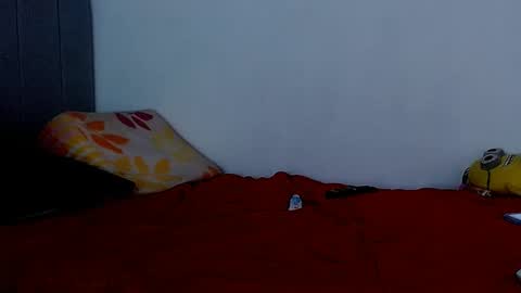 paula_willss online show from February 27, 4:13 am