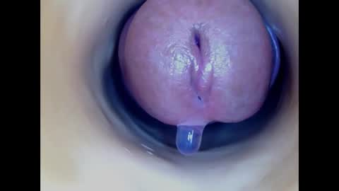 Paula 18 Aninhos online show from March 2, 5:08 am