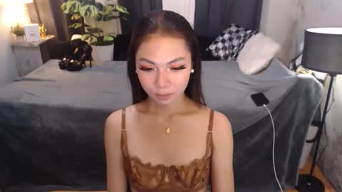 paulalawman online show from February 25, 12:03 am