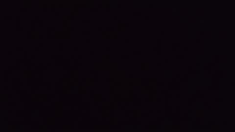 Paul DAmico online show from January 18, 8:40 pm