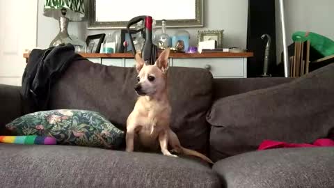 Snapshot of paulyb445 chatting on October 2, 2:27 pm paulyb445 online show from October 2, 2:27 pm